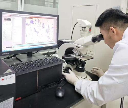 38.97億刷新紀(jì)錄！呼和浩特科創(chuàng)成果轉(zhuǎn)化跑出“首府速度”